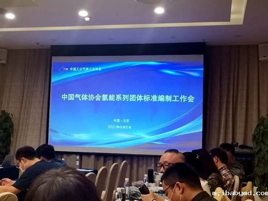 《加氢站用隔膜压缩机安全使用技术规范》